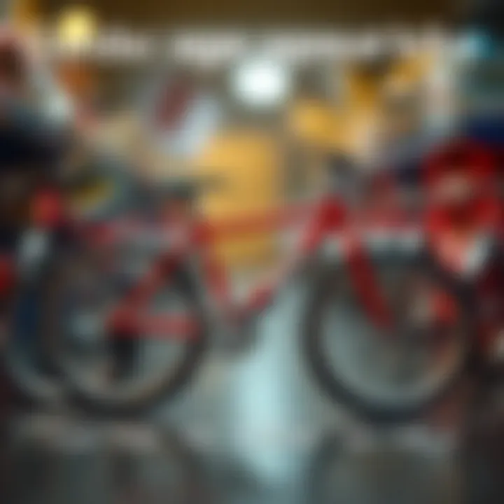 An infographic showing age-appropriate bike sizes