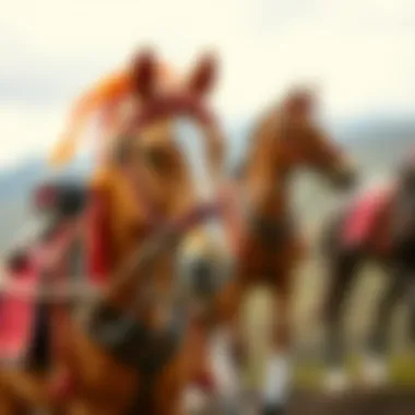 Anadolu horse showcasing traditional attire