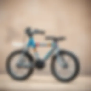 A comparison chart of different types of baby bikes suitable for various age groups