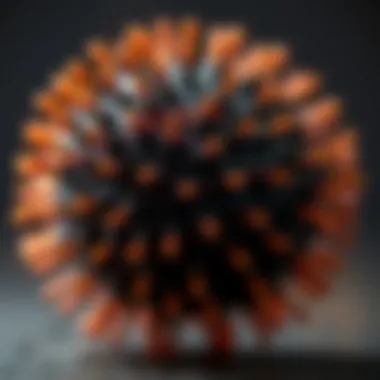 Close-up of a spiky ball's texture