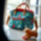 Stylish e-baby bags in various designs