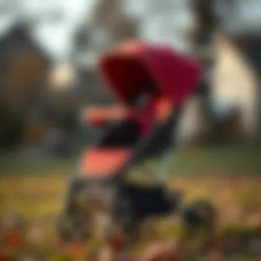 Safety features of a baby stroller