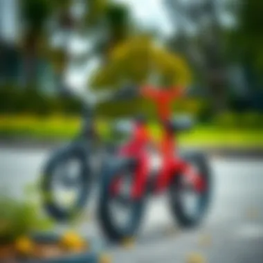 Various types of balance bikes for kids