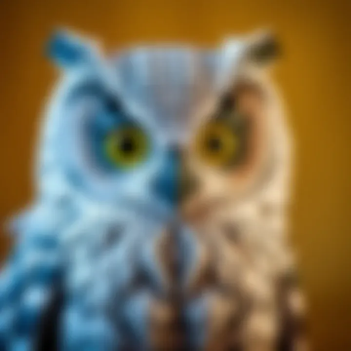 Coloring techniques for the Harry Potter owl