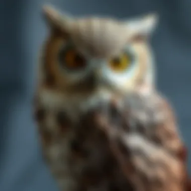 Final artwork of the Harry Potter owl