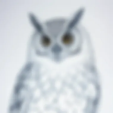 A detailed sketch of the Harry Potter owl