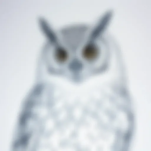 A detailed sketch of the Harry Potter owl