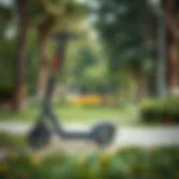 A sleek folding scooter in a park setting.