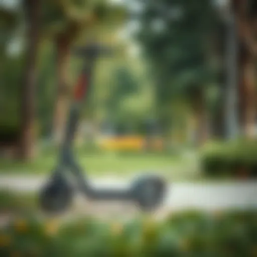 A sleek folding scooter in a park setting.