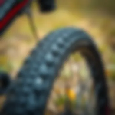 Close-up of the specialized tires designed for parkour bikes