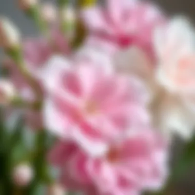 Close-up of delicate watercolor flowers with soft hues