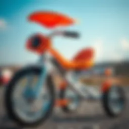 A detailed view of a tricycle showcasing its design and features