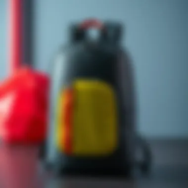 Stylish Yukka school backpack design showcased