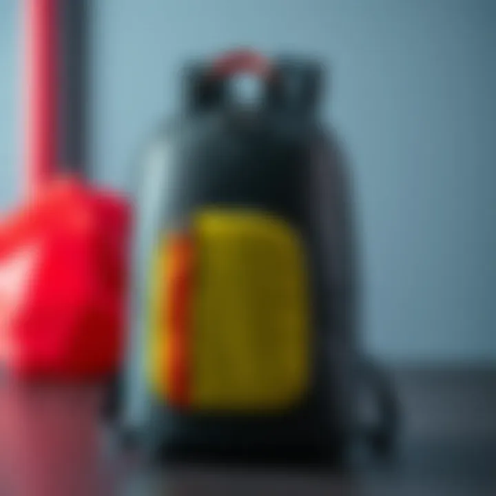 Stylish Yukka school backpack design showcased